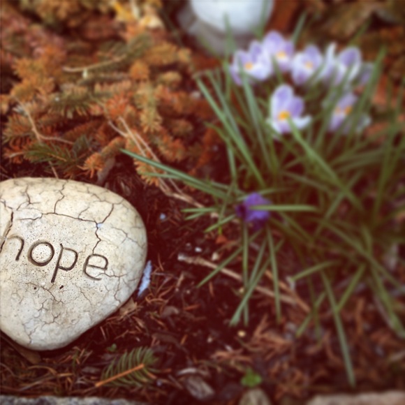 Meet your Posher, Daniel - Picture 5 of 7